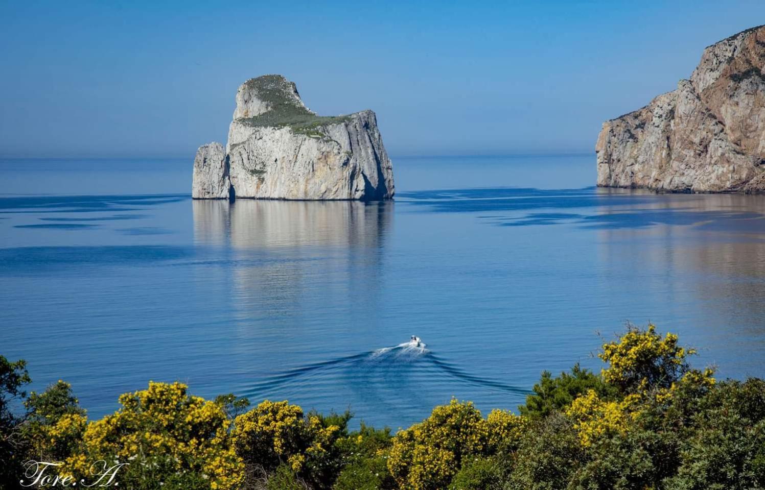 Вілла La Perla E Le Conchiglie Tanca Piras Vista Mare Nebida Екстер'єр фото